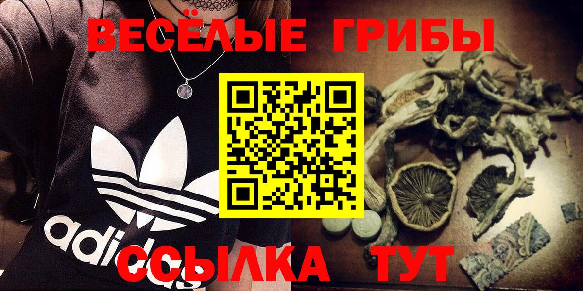 Псилоцибиновые грибы Magic Shrooms  Вход с VPN  Тельмана 