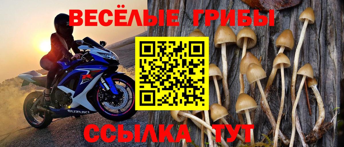 Псилоцибиновые грибы мицелий Тельмана